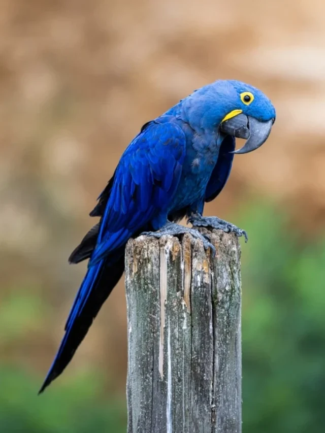 shutterstock-2012632493jpg